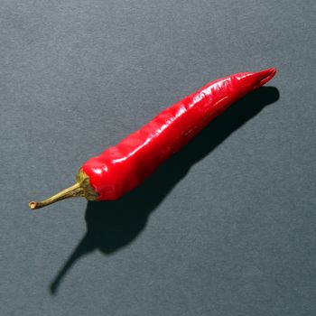 Aji jalapeño / chile serrano