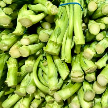 Brotes de soja