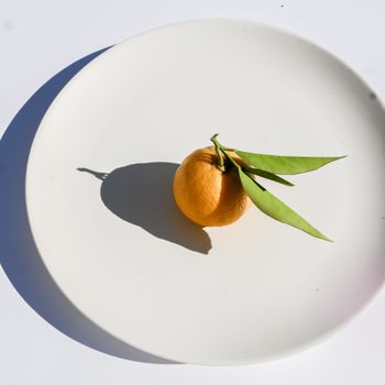 Mandarina Ellendale