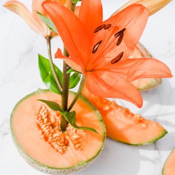 Melon Rocio Orange Brasil