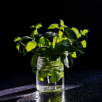 Menta