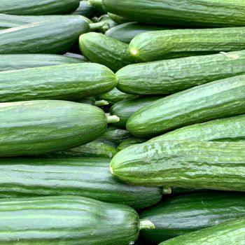 Pepino