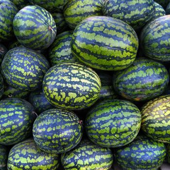 Sandia baby/postre