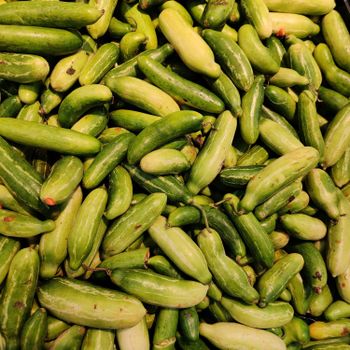 Zuchini